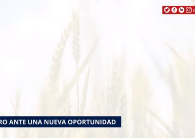 El Agro Ante Una Nueva Oportunidad